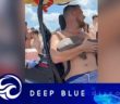 Shark bites man and clings onto arm for 45 minutes