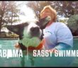 This Woman is Making a Splash by Helping Dogs Learn to Swim