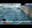 Waterfront Swimming Pool Customer Journey