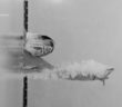 person swimming at the pool in grayscale photo