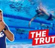The Truth About Masters Swimming | MySwimPro