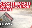 Gold Coast beaches still too dangerous for swimmers