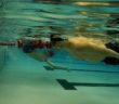 Jamesville-DeWitt high school boys swimming adapts to Covid times