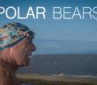 Polar Bears 4 | Clevedon Marine Lake | Andy Wolf | #clevedon #marinelake #coldwaterswimming