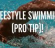 Freestyle Swimming – Pro Tip | U.S. Masters Swimming