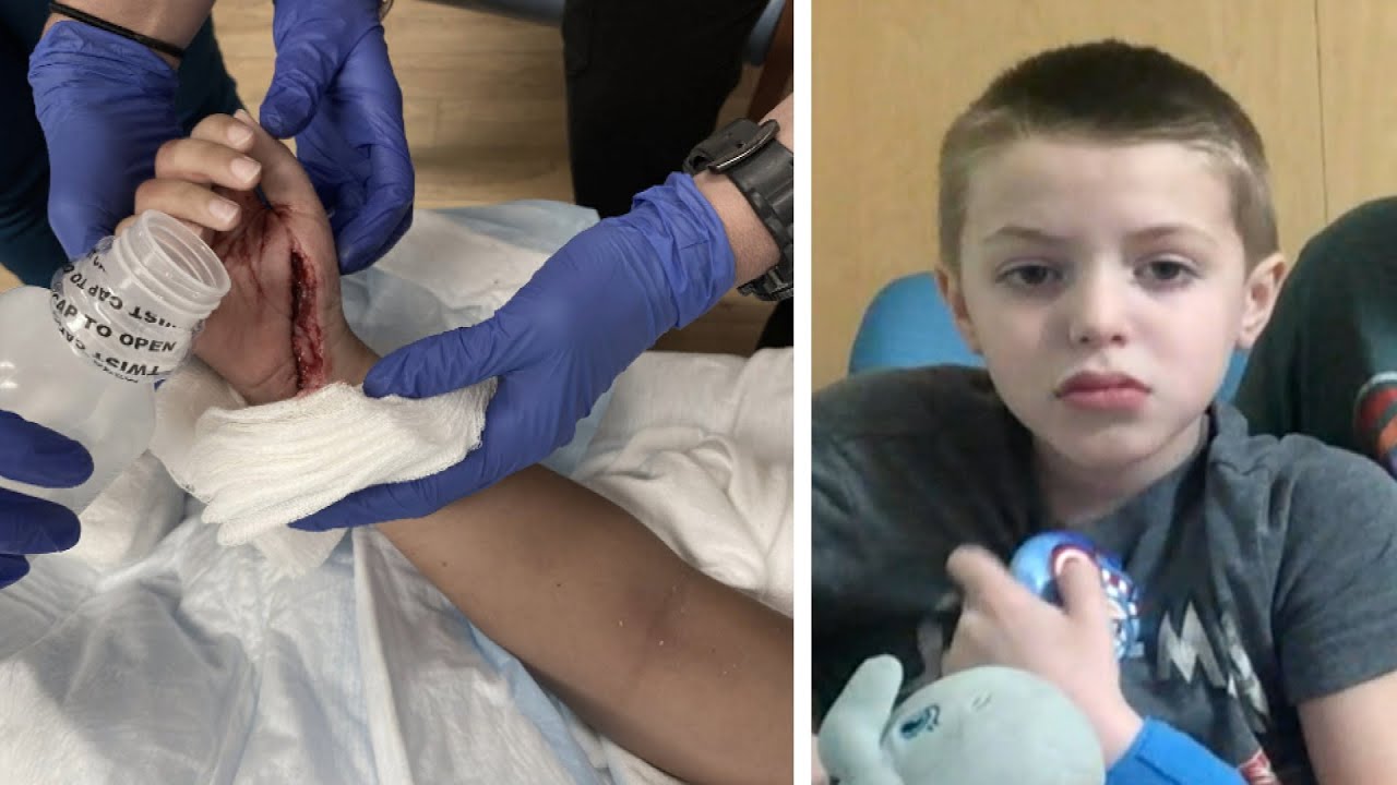 7-Year-Old Is Attacked by Shark During 1st Ocean Swim