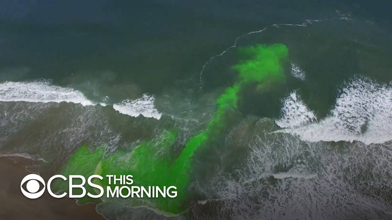 Lifeguards, Scientist Team up to Form World’s First Computer Model That Predicts Rips Currents | CBS This Morning