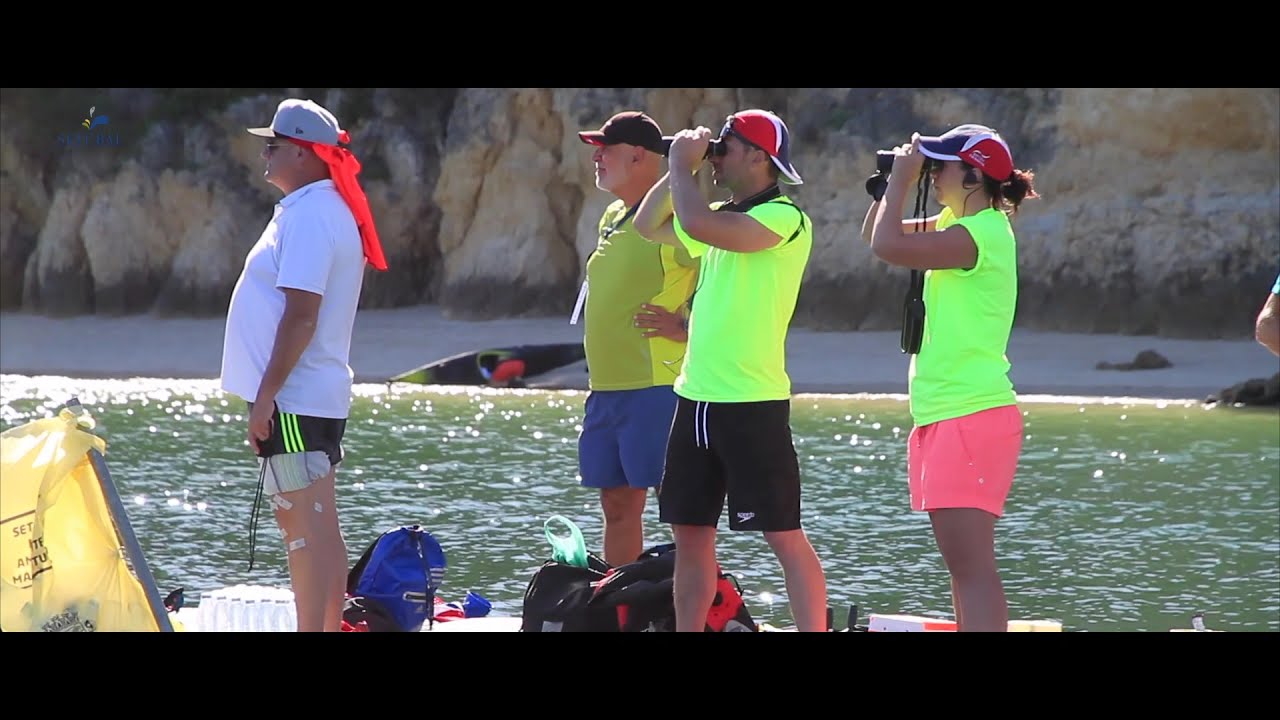 Elite Swimmers Confirm Their Presence in SetÃºbal | MunicÃ­pio de SetÃºbal