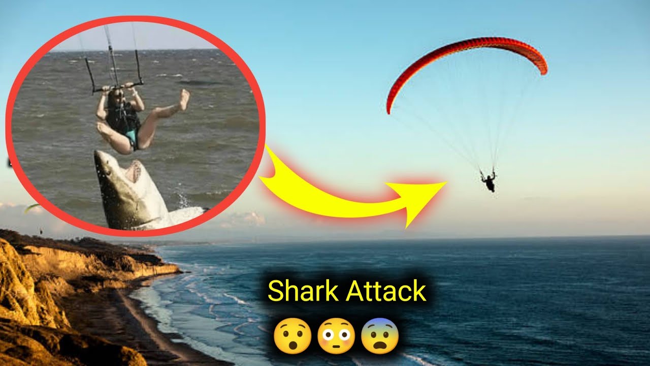 Shark Leaps Out of Water and Bites Parasailer in Bizarre Attack | Yahoo!