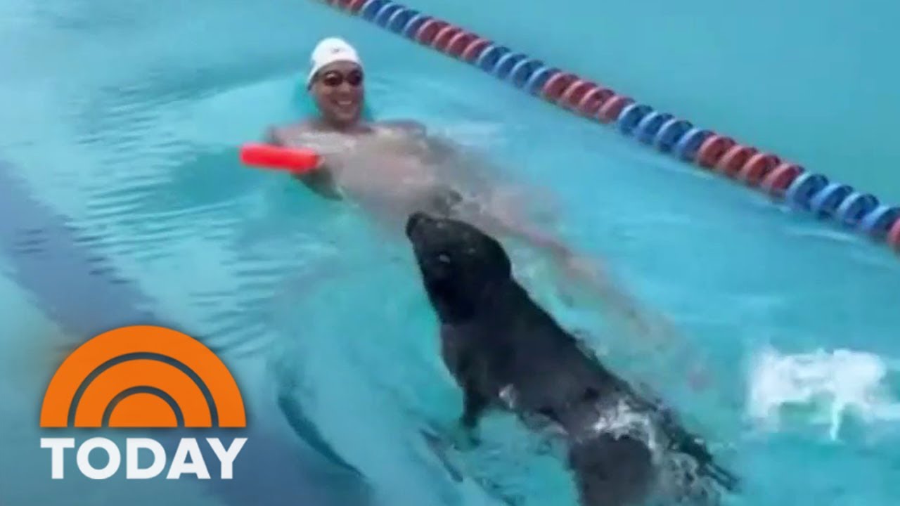Caeleb Dresselâ€™s Dog Jane Impresses With Swim In The Pool | TODAY
