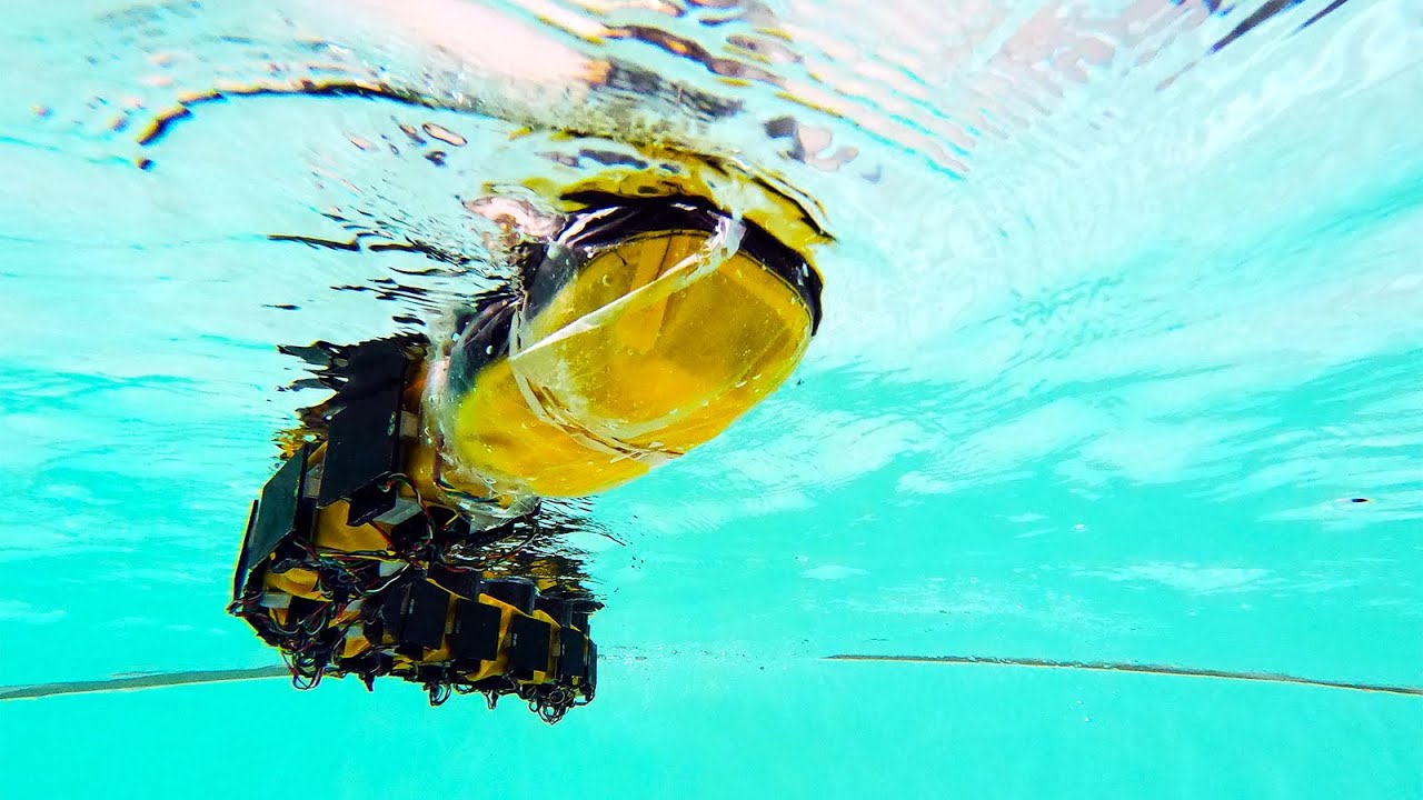 Swimming Robot Gives Fresh Insight Into Locomotion and Neuroscience | EPFL