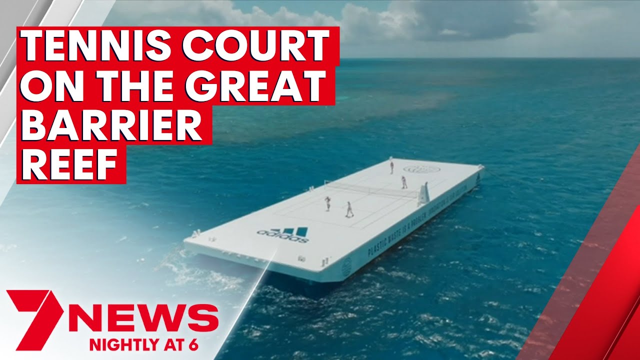 Australian Sporting Icons Team Up to Tackle Ocean Pollution in the Great Barrier Reef | 7NEWS