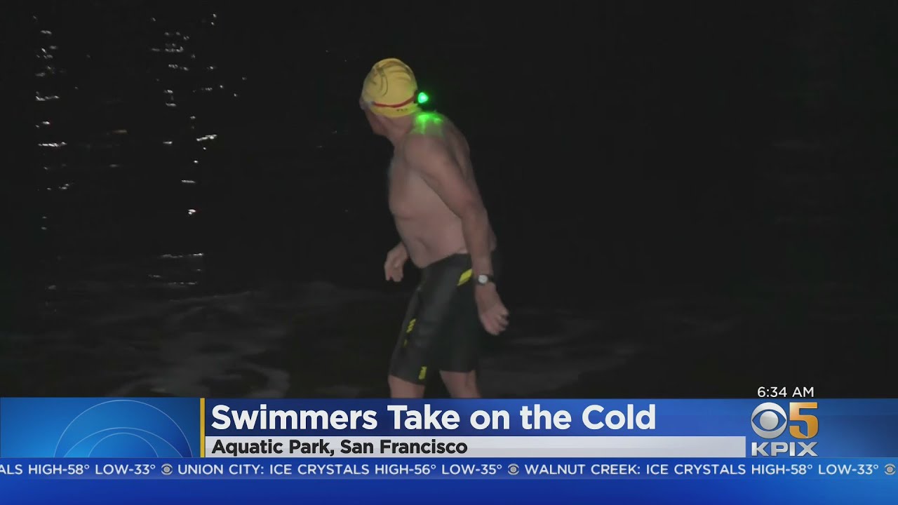 Polar Plunge: Swimmers Brave Bitter Cold Weather to Take Dip In the Bay | KPIX CBS SF Bay Area