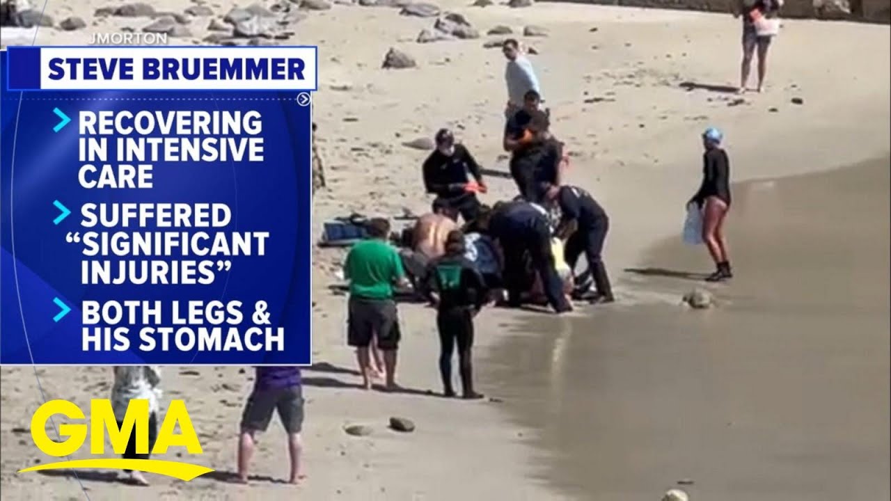 California Swimmer Hospitalized After Shark Attack | GMA