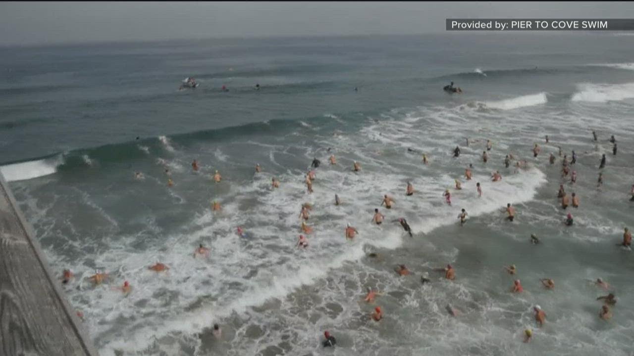 Pier to Cove Swim Event Returns to La Jolla | CBS 8 San Diego