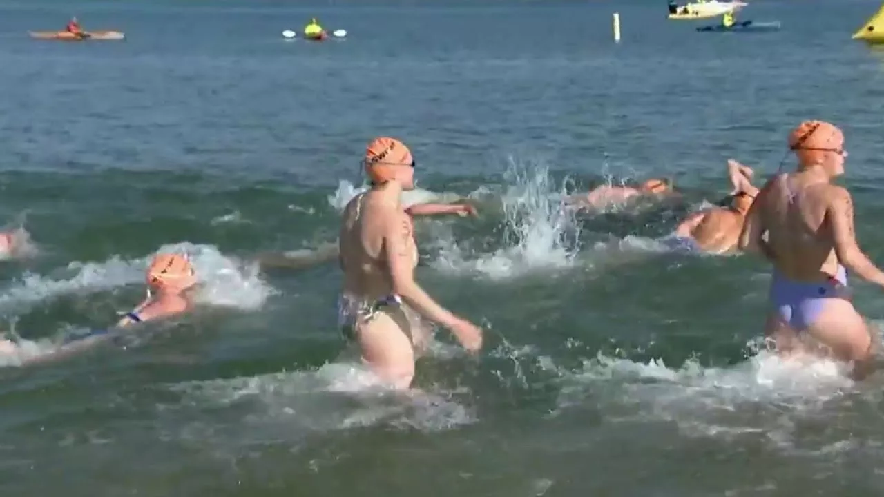 Metro Detroit Swimmers Make Waves to Fight Cancer | Click On Detroit | Local 4 | WDIV
