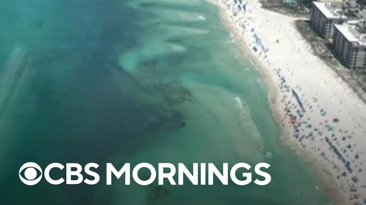 Officials Warn About the Dangers of Rip Currents at Panama City Beach | CBS Mornings