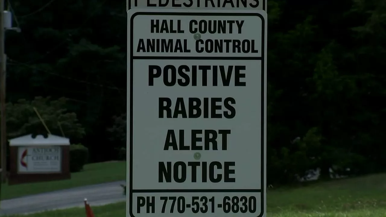 Rabid Beaver Attacks Girl While She Was Swimming in Georgia | WDRB News