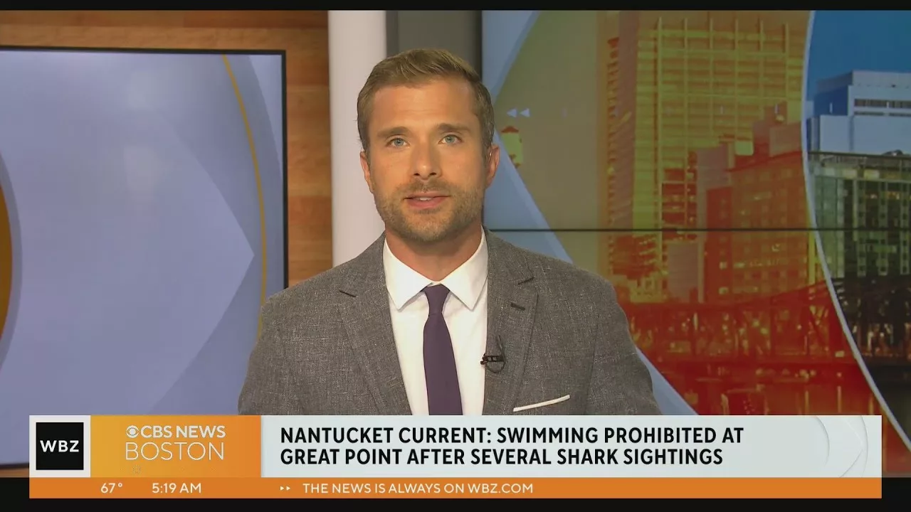 Swimming Reportedly Banned at Nantucket’s Great Point After Shark Sightings | CBS Boston