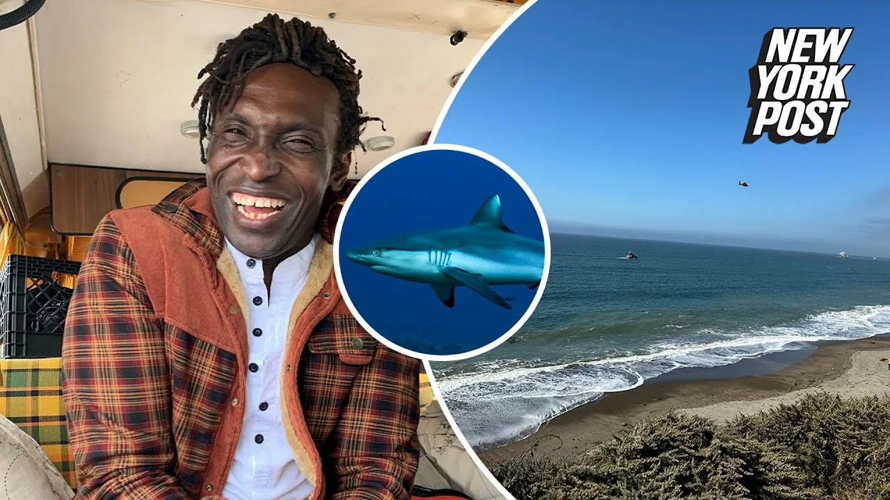 Calif. Shark Victim Named as Felix Louis N’Jai, Tech CEO and Kite Surfer With Olympic Aspirations | New York Post