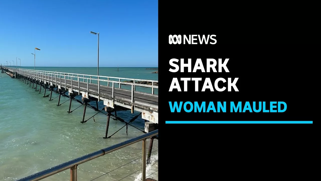 Shark Attack Leaves Woman With Serious Leg Injuries Near Beachport Jetty in SA | ABC News