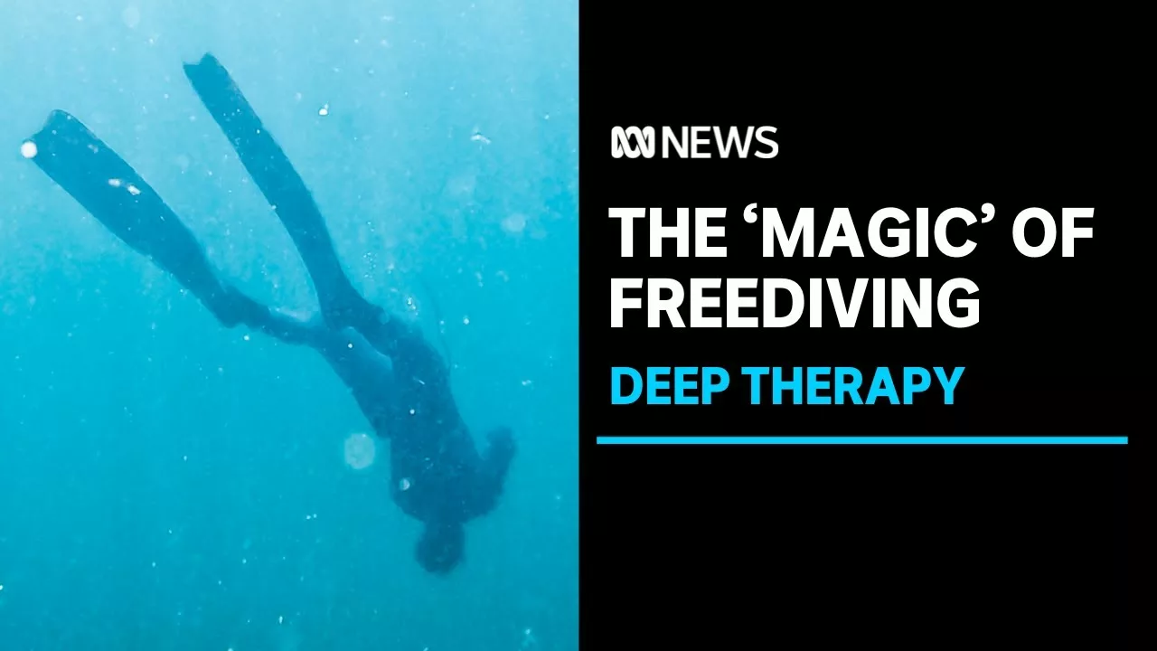 Freediving Embraced by Growing Number of Australians as It Unlocks Mental Health Benefits | ABC News