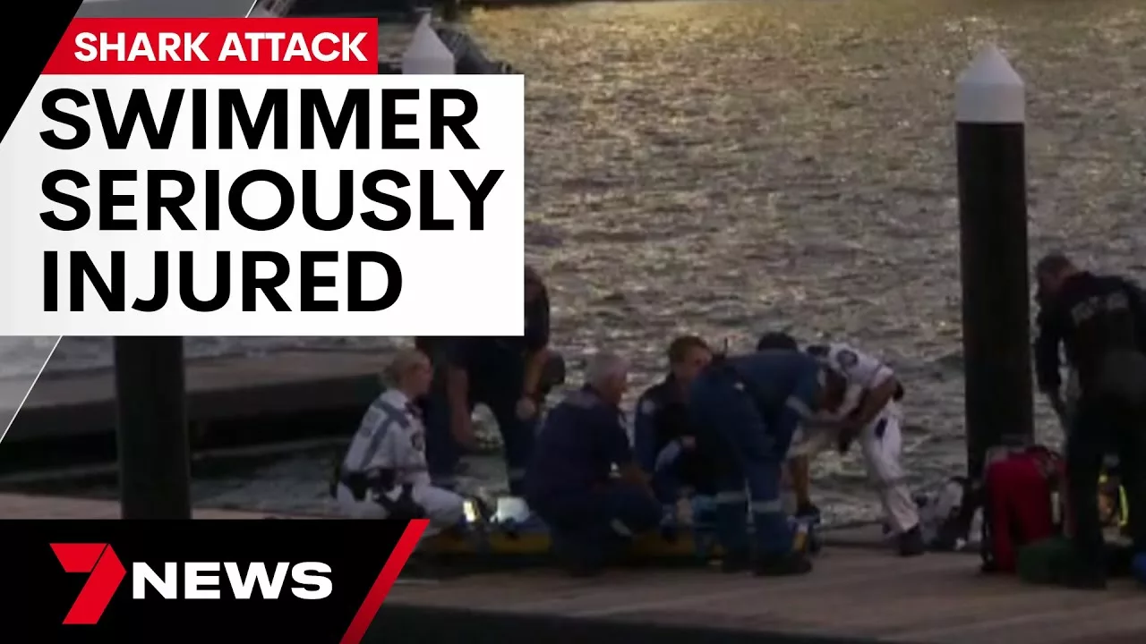 Terrifying Shark Attack in Elizabeth Bay Leaves Swimmer Seriously Injured | 7 News Australia