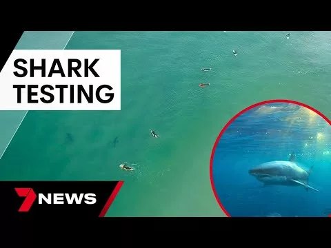 New Science Test Hoping to Keep Swimmers Safe Against Sharks | 7 News Australia