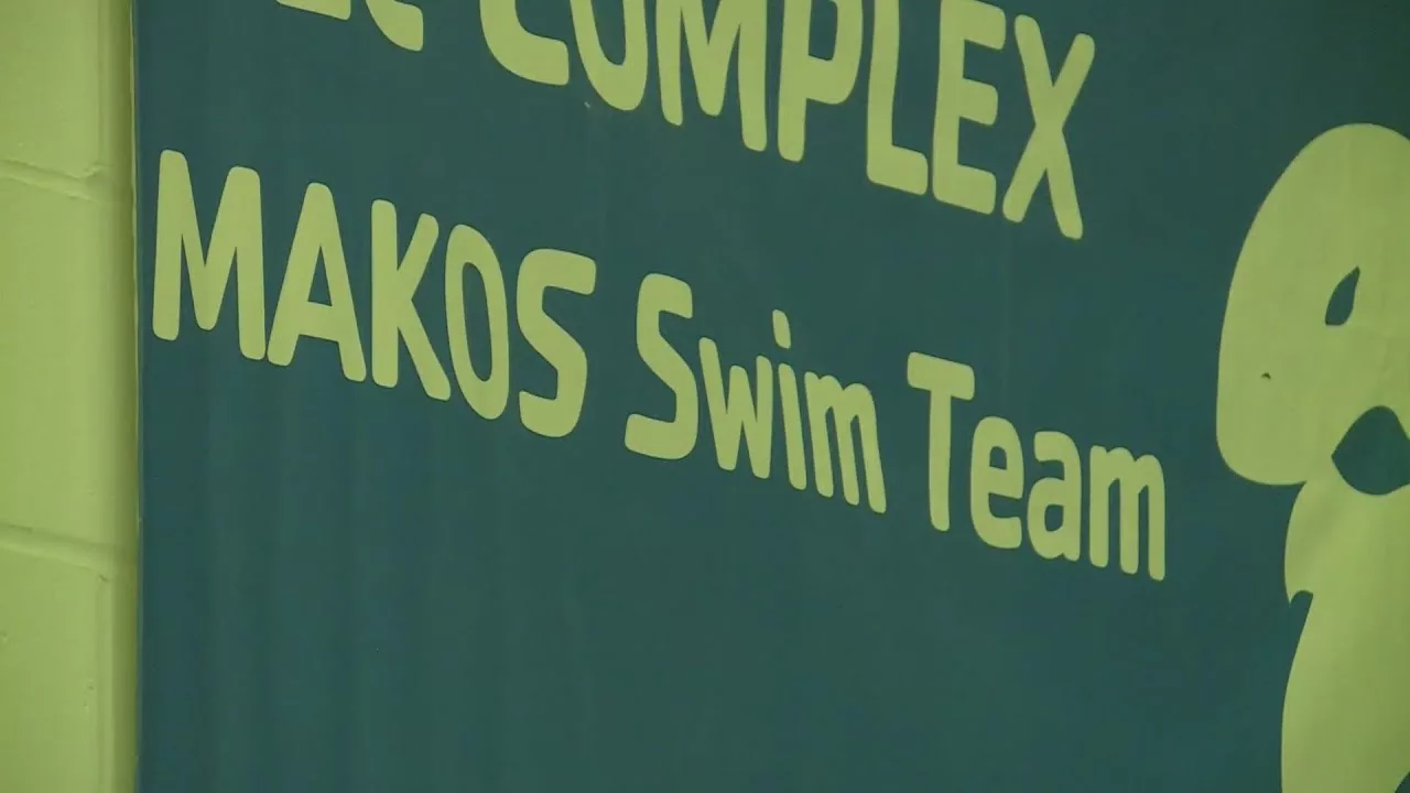 O’Fallon Swim Team Aims to Break Racial Disparity Statistics | FOX 2 St. Louis