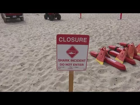 Del Mar Closes Beaches for Swimming and Surfing After Shark Attack | CBS 8 San Diego
