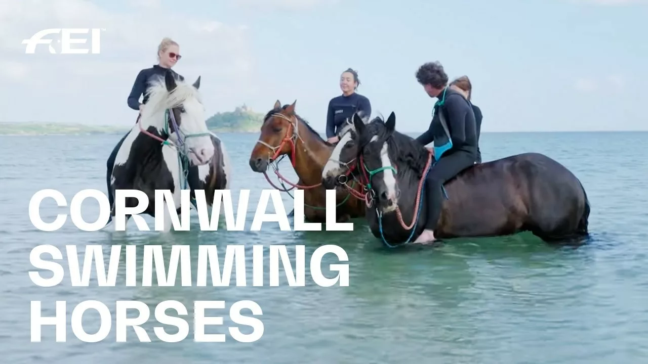 Swimming With Horses | RIDE Presented By Longines | FEI