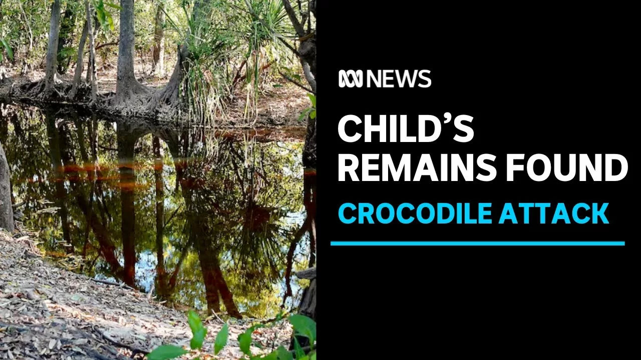 12-year-old Girl Killed By Crocodile While Swimming In Australian Creek | ABC News (Australia)