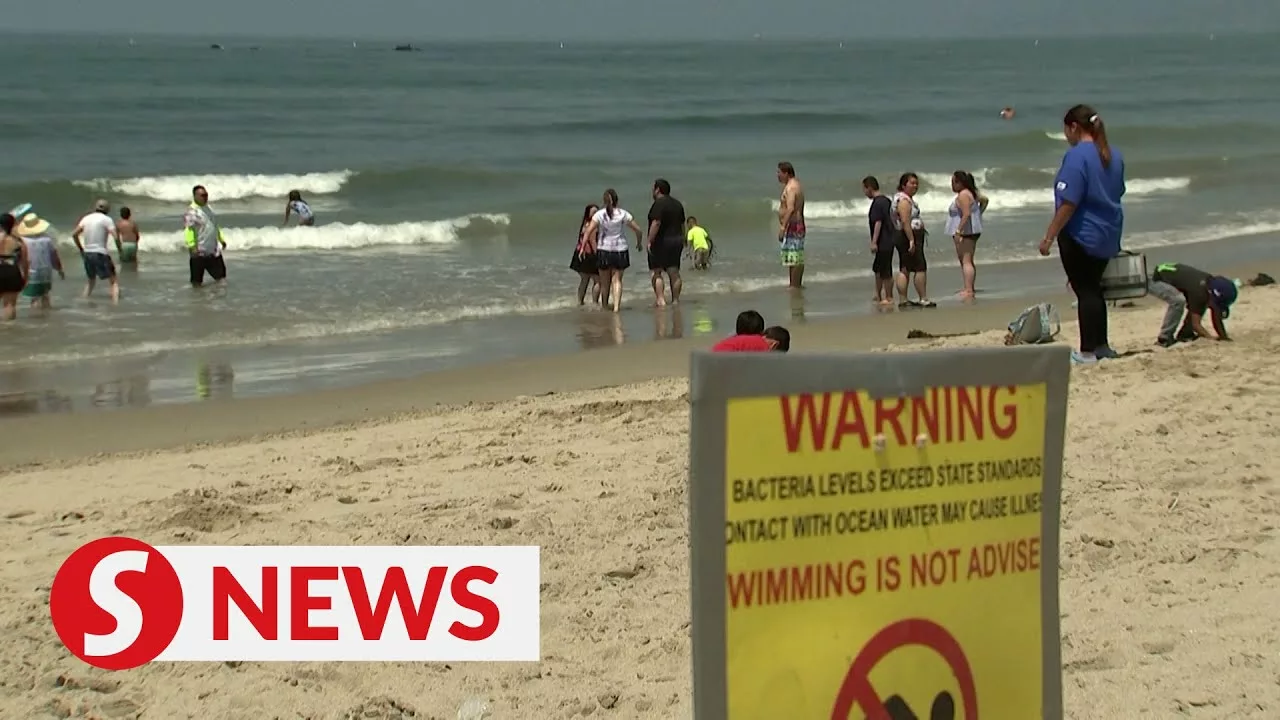 Swimmers Flout Bacteria Warnings At Beach In Los Angeles | The Star