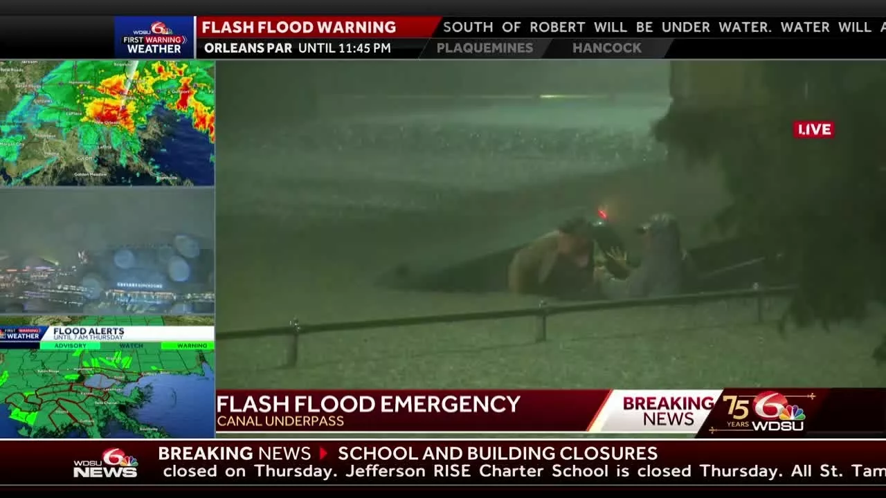 Man Saves the Life of Driver in Submerged Truck on Live Television During Hurricane Francine | WDSU News