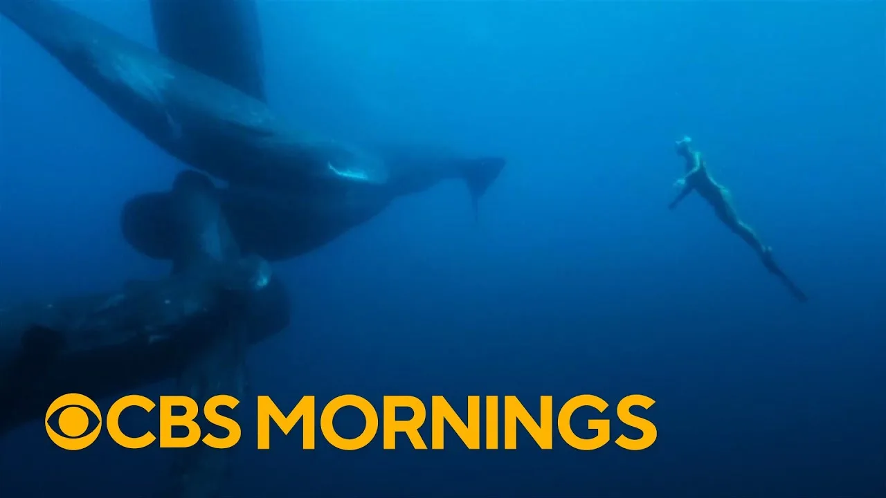 Inside the World of Freediving With Michael John Warren | CBS Morning